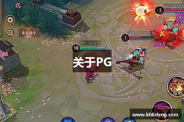 关于PG